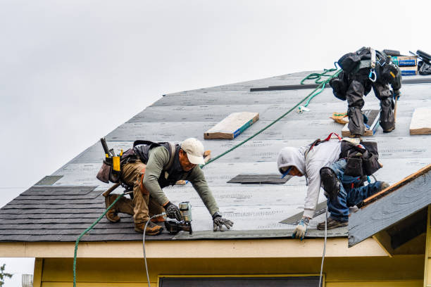 Professional Roof Repair technician working in Johnson, VT